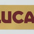 Battery Sticker, LUCAS